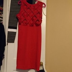 Sexy Form Fitting Dress